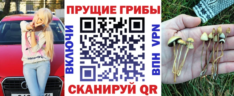 Галлюциногенные грибы Cubensis  Зубцов 