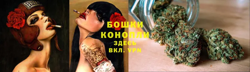 Канабис OG Kush  Зубцов 